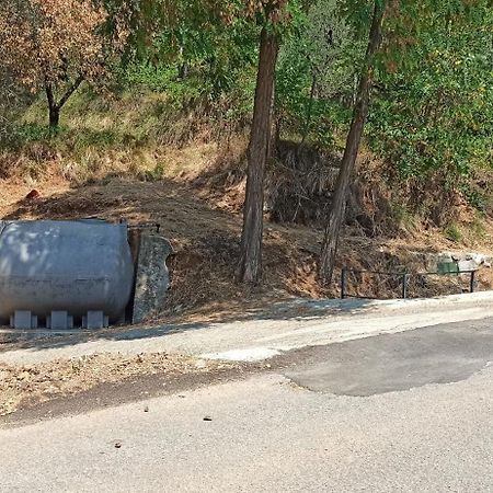 קזארצה ליגורה "Vento Di Levante Suite" Benvenuti In Collina מראה חיצוני תמונה